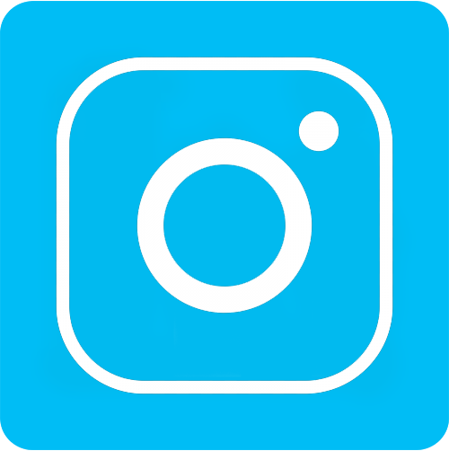 linkedin icon